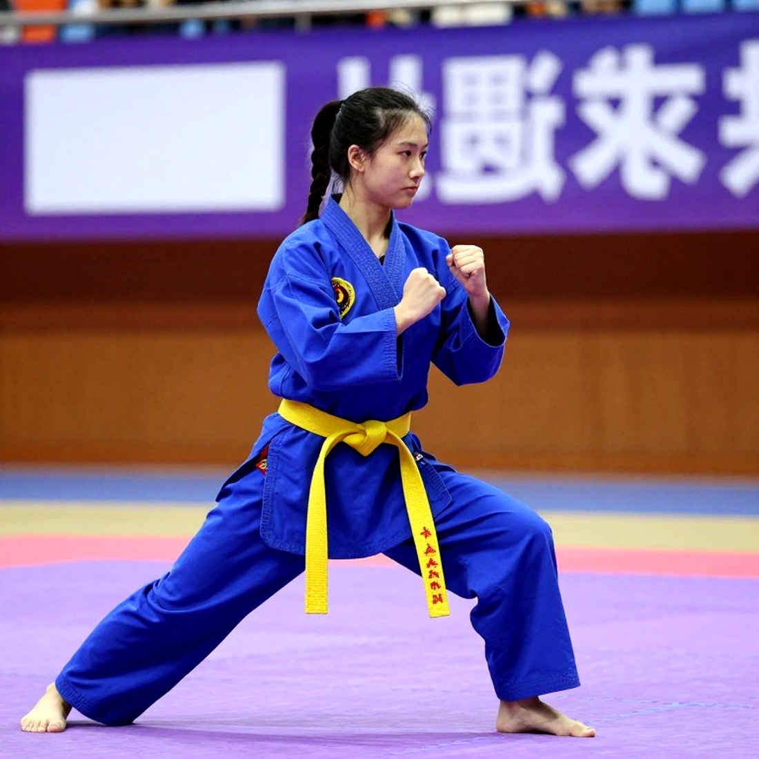 Vietnamese Martial Arts and the Trap of Data-Free Analysis Vietnamese Martial Arts and the Trap of Data-Free Analysis