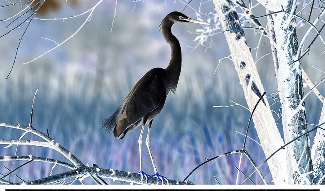 MLBB và hành trình Đông Nam Á tự viết luật chơi thể thao điện tử