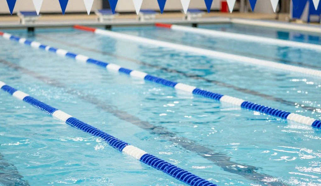 The Base of America's Swimming Pyramid: 250 Children and One Summer Coach The Base of America's Swimming Pyramid: 250 Children and One Summer Coach